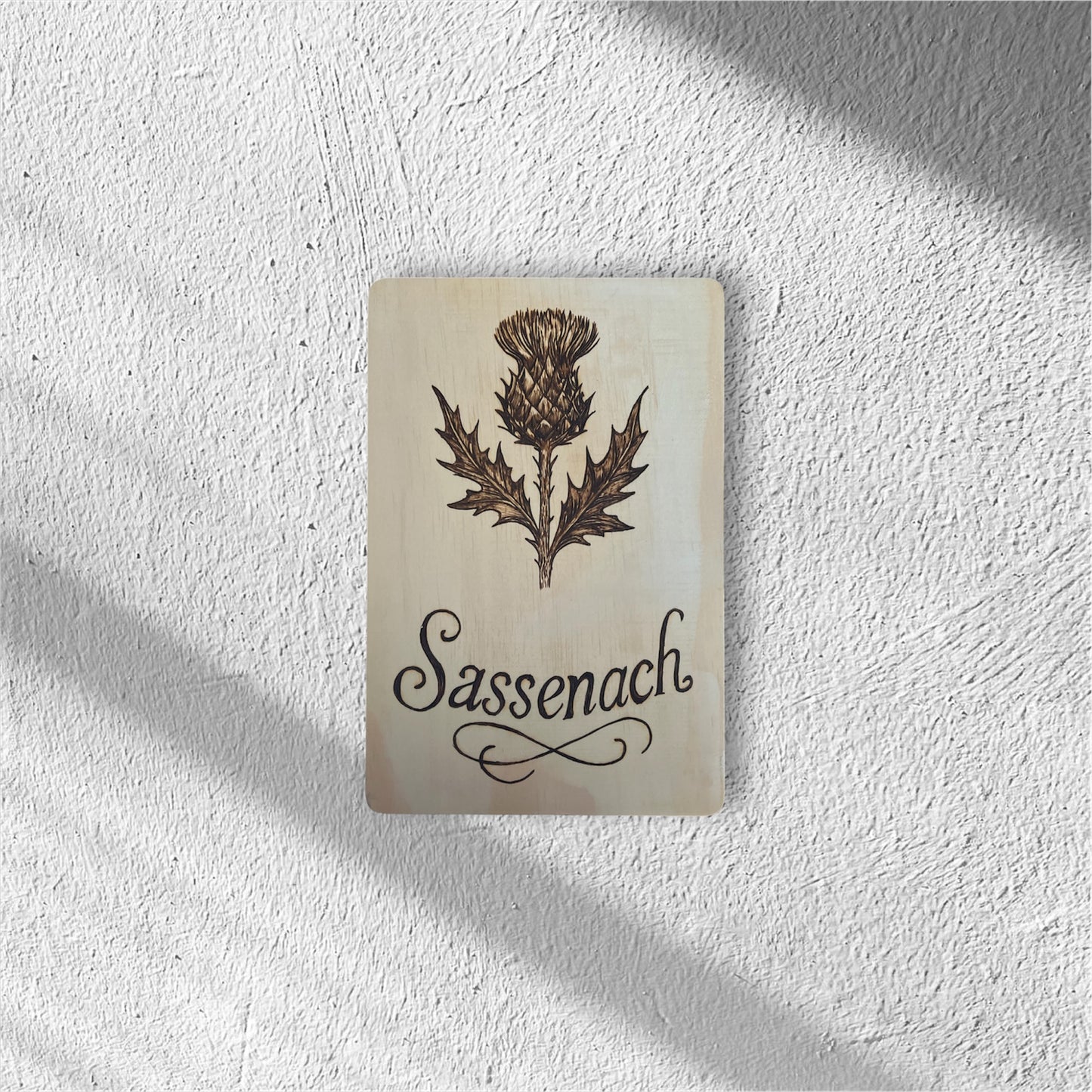 « Sassenach » – Chardon écossais